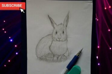 Drawing a cute rabbit // Dibujando un lindo conejo