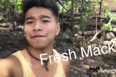 Cute little bunnies 🐰🥰