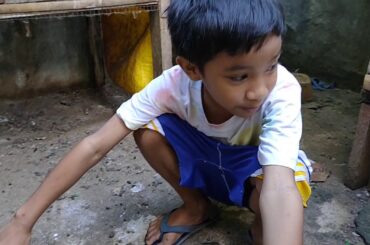 Cutest baby rabbit newborn 1day old