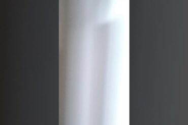 🐇CHUBBY BABY BUNNY CAUGHT IN MY BACKYARD🐰