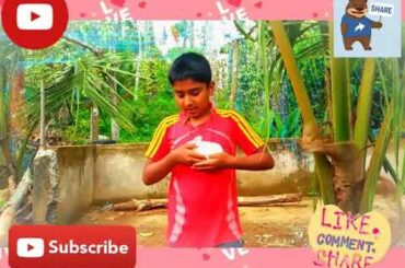 🎆🐇🐰 rabbit babies🐇🐰🎇