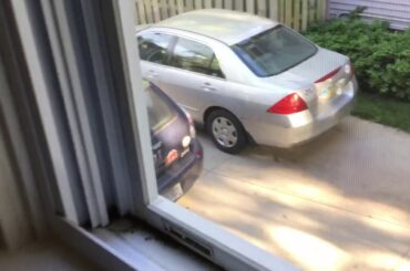 That’s a cute bunny