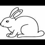 how to draw cute rabbit drawing and painting very easy drawing so cute drawings sketch drawing tips