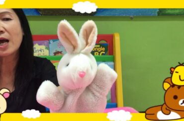 K1 Thai Language T Wan The Story of a Cute Rabbit