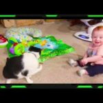Cute Babies Video and Golden Compilation || Cute Baby Tube