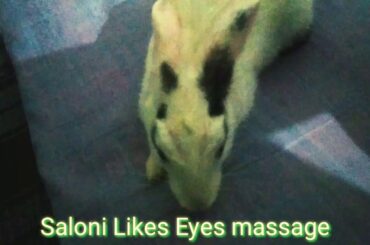 Cute Rabbit Saloni likes Eyes Massage