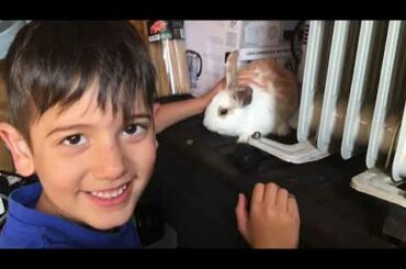 Come and see the cute bunnies 🐰