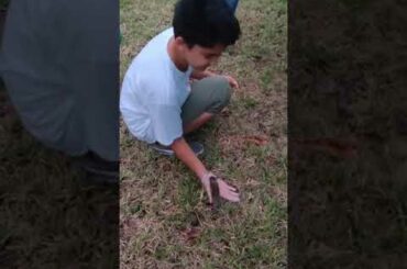 Cute Baby Bunny Part 2