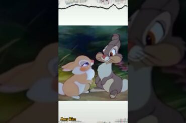 Rabbit cute love full Screen Cartoon Whatsapp Status ❤️ Racy Riaz