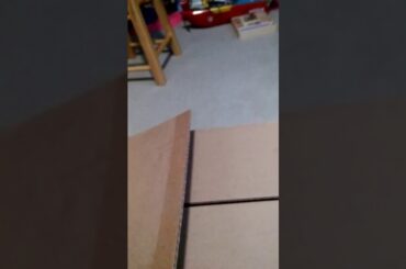 In the mail is a baby bunny 🐇💝