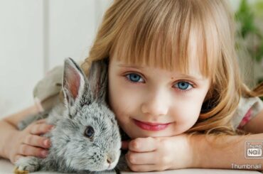 Funny rabbits | Cute rabbits | My hobby to care rabbits | Saba Noor official