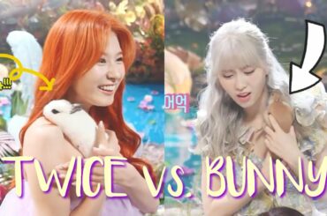 TWICE and the cute bunny