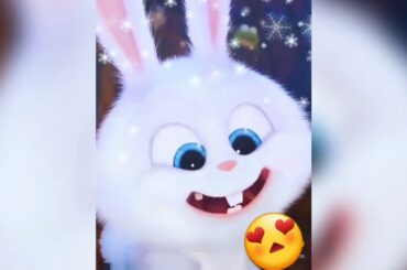 Cute BUNNY 😍
