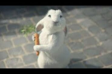 RABBIT VLOG 2:CUTE BUNNY