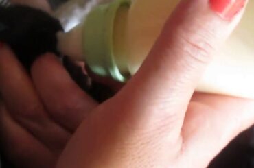 Girl feeds baby bunny rabbits
