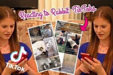 Reacting To Viral Rabbit TIKTOK Videos | KatiesPetLife