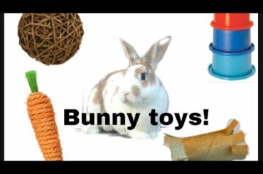 Cute bunnies playing with toys