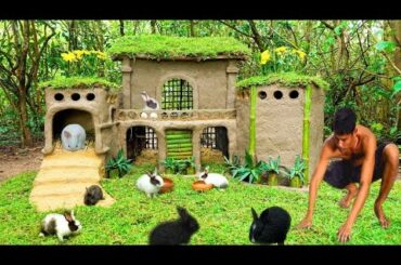 build a Mud House For Cute Rabbit and Save Rabbits new Born