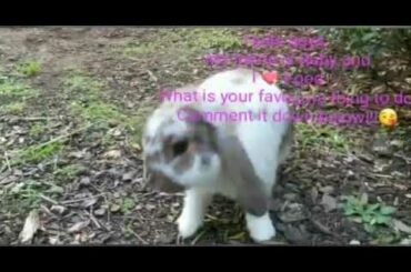 Ryan and his Funny cute baby bunny rabbit!!!