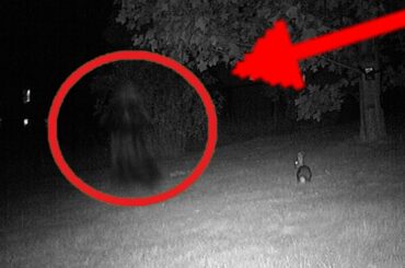 Cute Bunny Sees Ghost Caught On Tape!