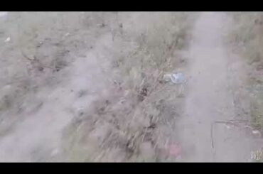 Cute rabbit are talk and play with each other