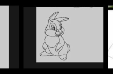 Cute Rabbit drawing step by step