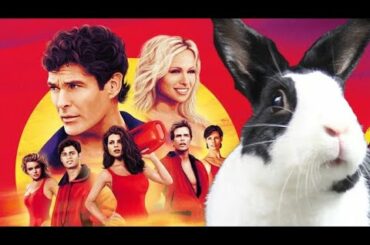 Rabbit Baywatch (Remastered)