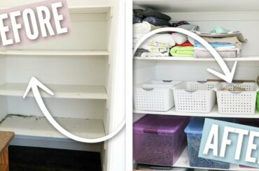 Organizing All My Rabbit Supplies!