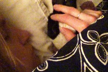 Angry rabbit and angry girl! 🐰🐹🦊Cute Pet Animals