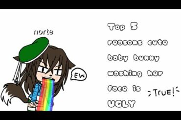 Top 5 reasons why the video "cute baby bunny washing her face" is a ugly stupid video