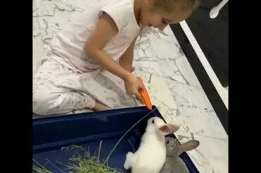 Look how this baby girl playing bravely with the rabbit