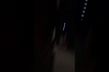 Playing with my baby bunny