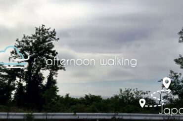 Good evening and cute rabbit