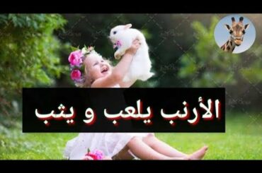الأرنب يلعب و يثب، Funny baby Bunny Rabbits cute Rabbit Jumping 2020