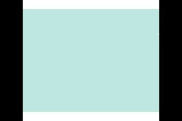 Cute rabbit compilation