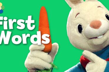 What is it? A Carrot | Harry the Bunny | BabyFirstTV