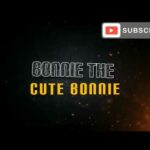 Intro For My Friend: Bonnie The Cute Bunny (go sub to them)