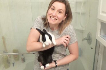 Rabbit PooPourri commercial!