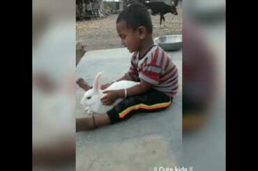 Cute animal | baby playing with cute rabbit