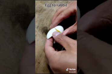 How to convert a Boil egg to a cute rabbit