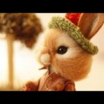 Cute rabbit photosllcute animals