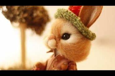 Cute rabbit photosllcute animals
