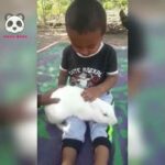Cute baby playing with cute rabbit