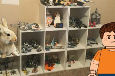 FOUND CUTE BUNNY!! + LEGO Collection Video! | CoreYT Vlog