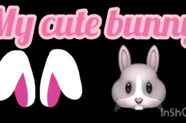My cute bunny ( so adorable)