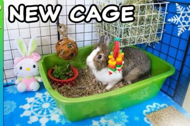 How to build a CHEAP DIY Rabbit Cage | Winter Theme
