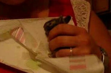 Baby Bunny Rescue - First Feeding