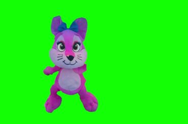 The Most Cutest Bunny Rabbit Fight Green Screen Animation