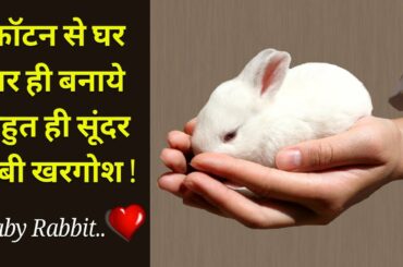 How to make a baby Rabbit with cotton | cotton baby Rabbit | Cotton craft ideas
