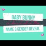 Baby bunny Gender & Name reveal || Lola's Last Litter